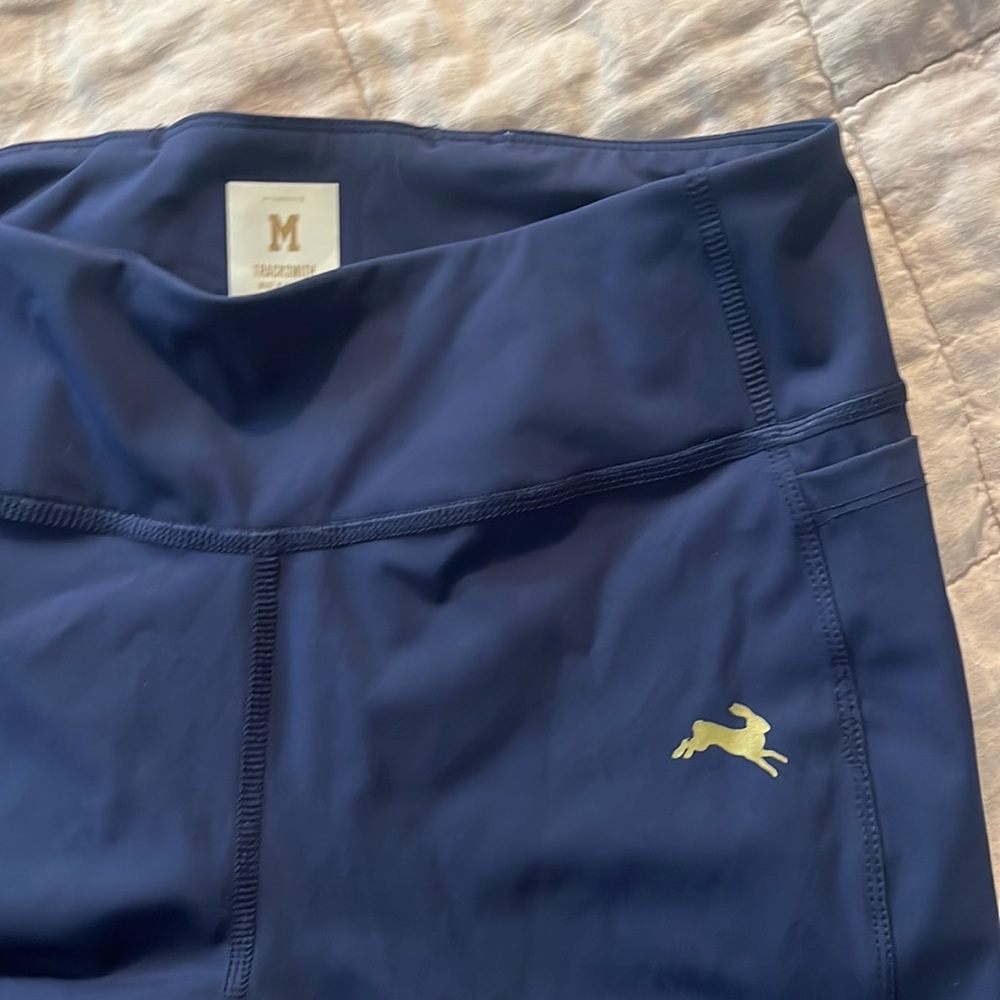 EUC Tracksmith Allston Tights